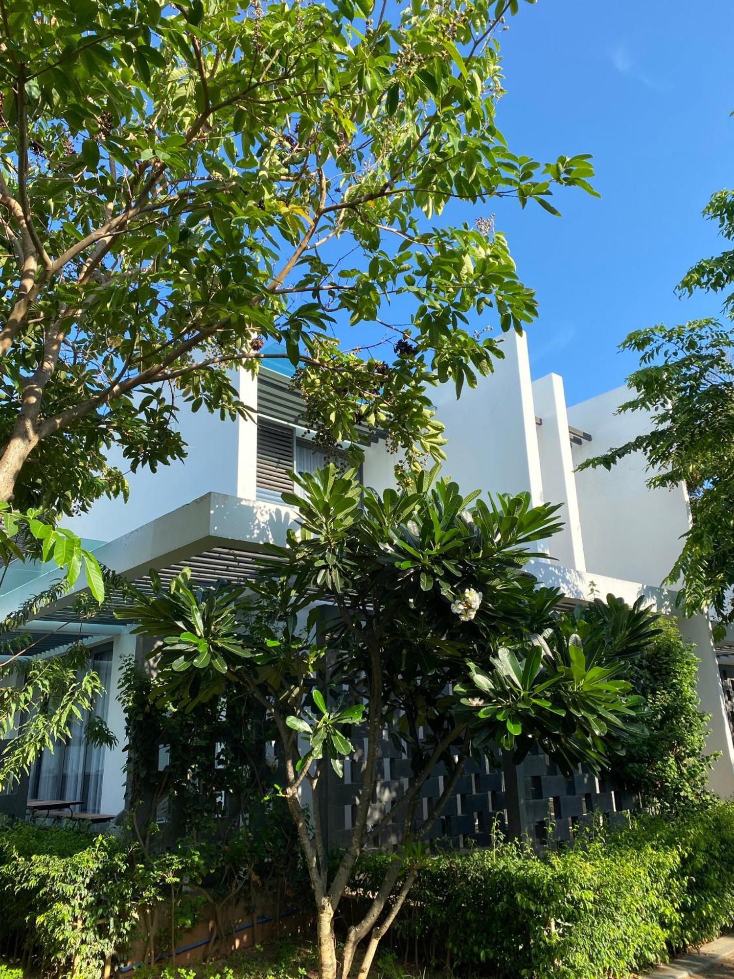 Khach San - Resort Oceanami - Long Hai Exteriör bild